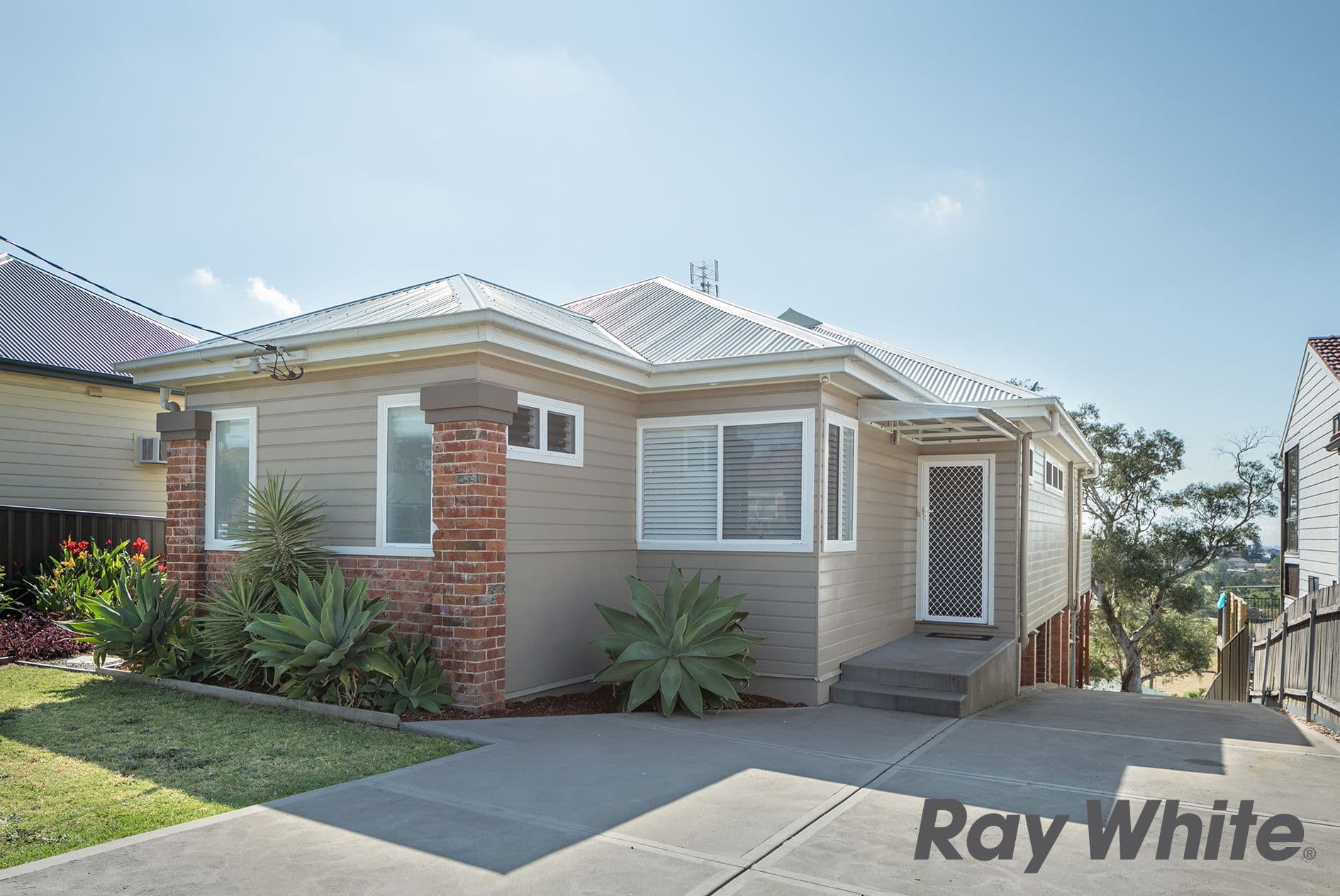 60 Dent Street, North Lambton - Thumbnail 3