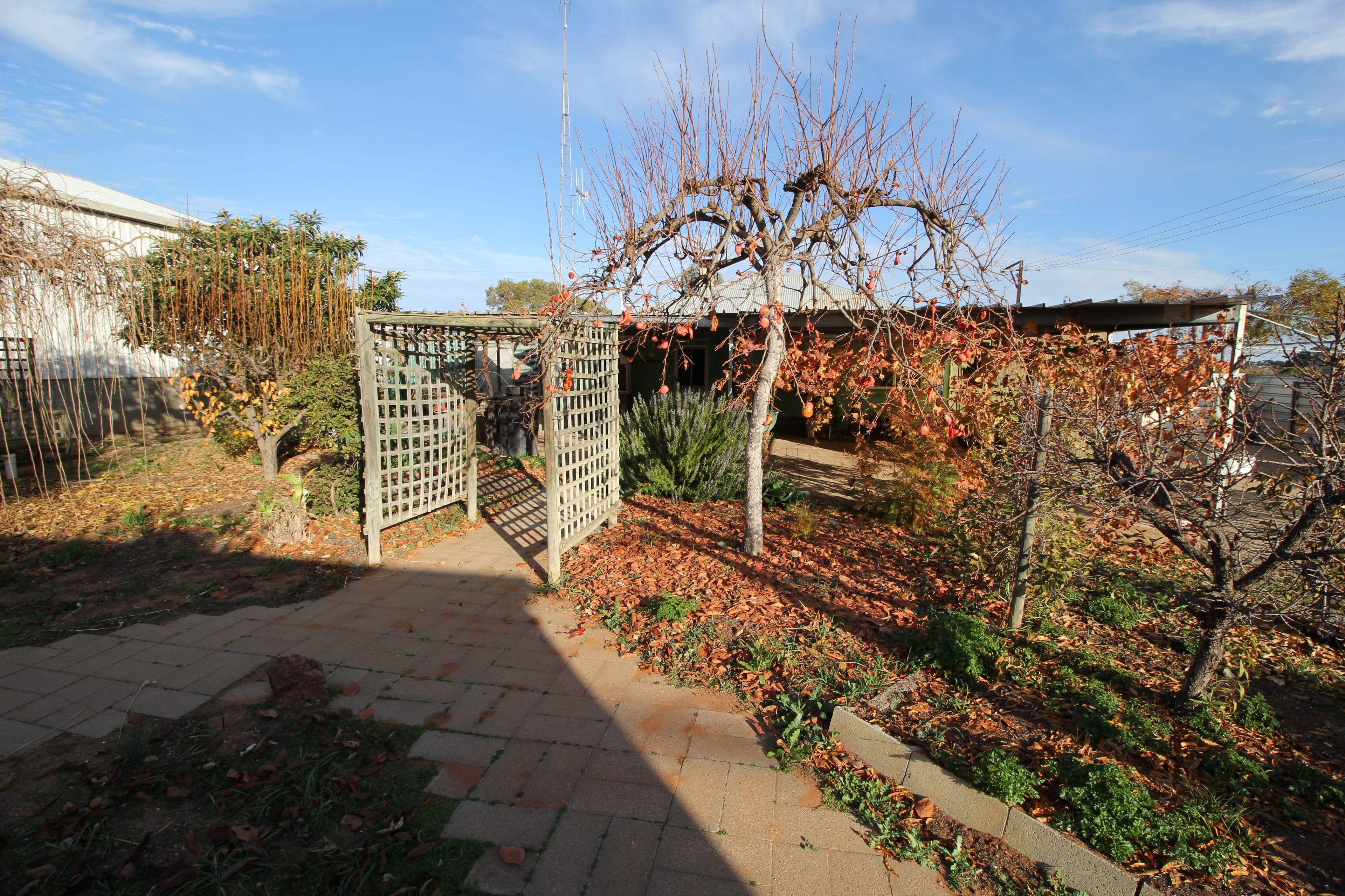 5 Turnbull Terrace, Glossop SA 5344, Glossop - Thumbnail 7