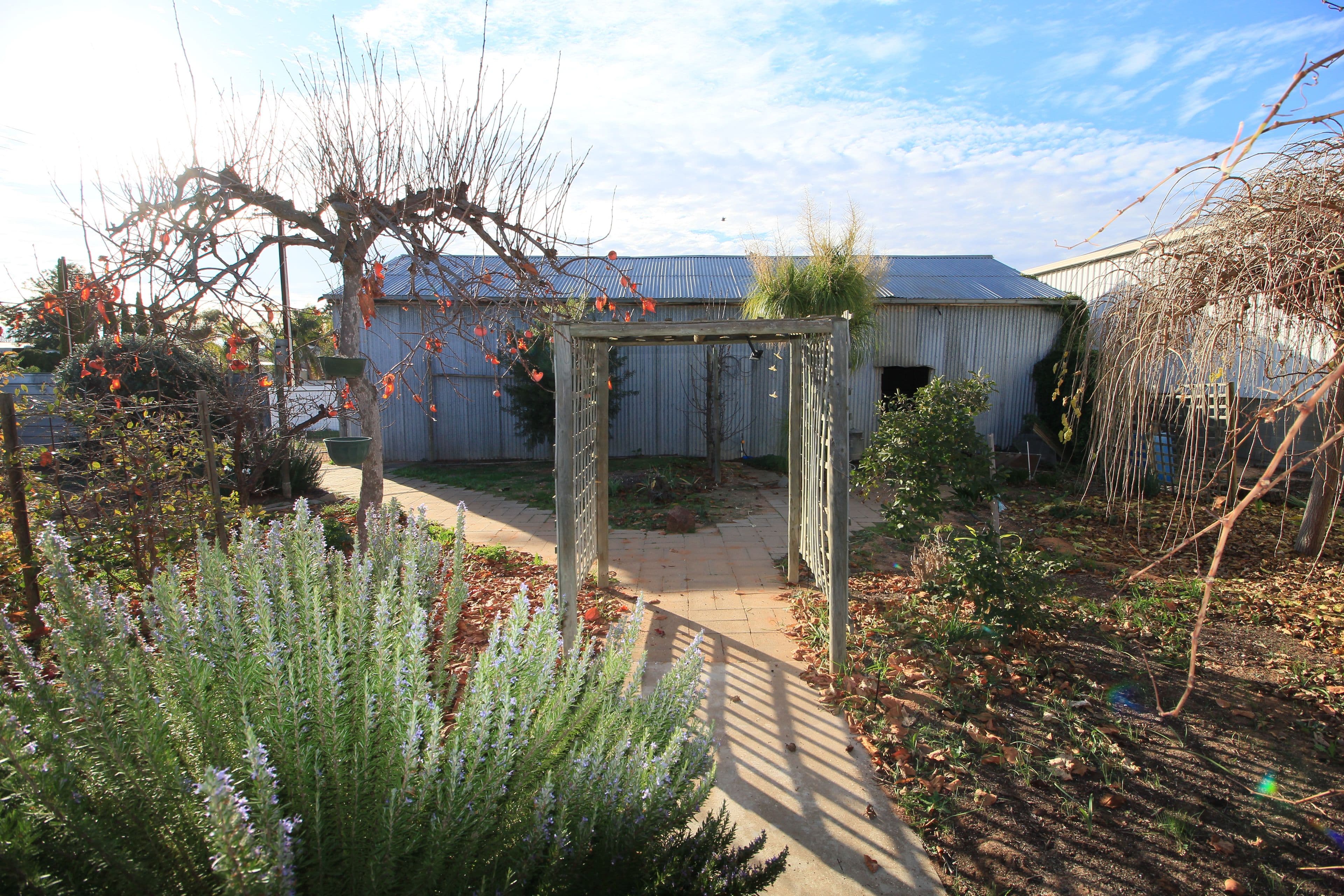 5 Turnbull Terrace, Glossop SA 5344, Glossop - Thumbnail 8