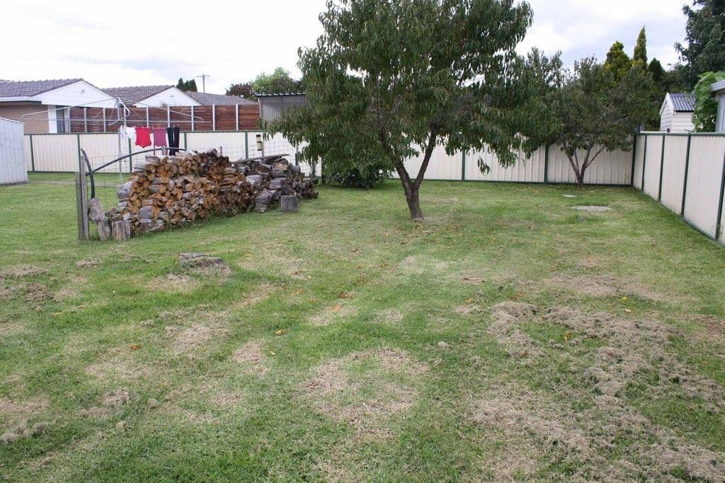 9 Digby Street, GLEN INNES NSW 2370, Glen Innes - Thumbnail 7