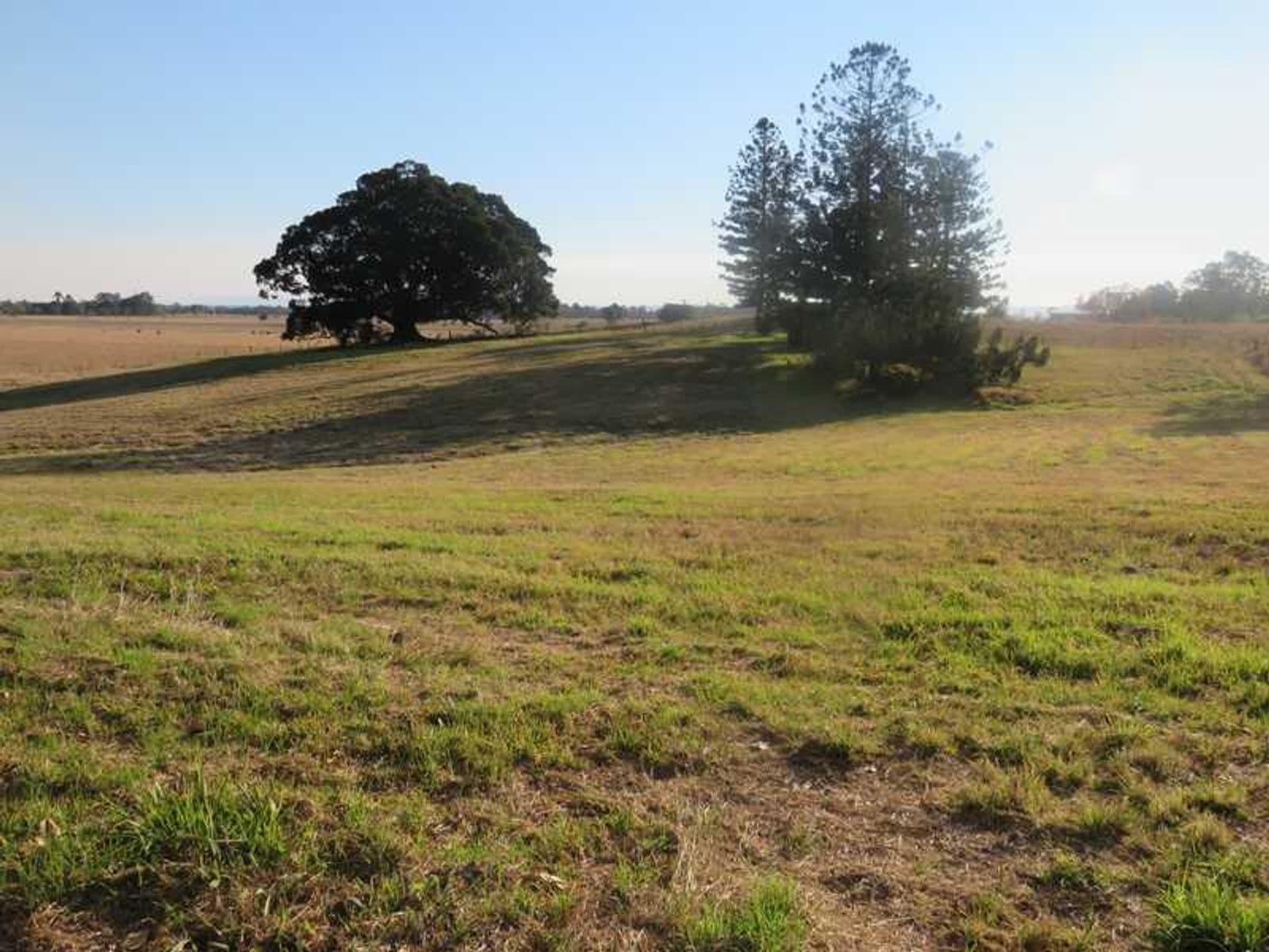 1253 Caniaba Road, Clovass, NSW 2480, McKees Hill - Thumbnail 7