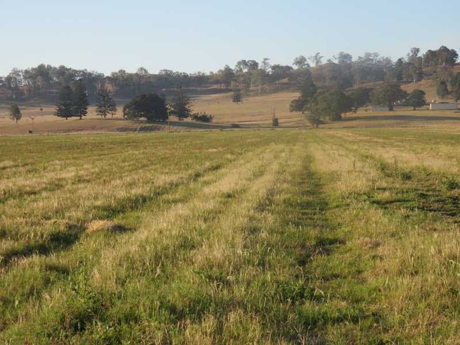 1253 Caniaba Road, Clovass, NSW 2480, McKees Hill - Thumbnail 8