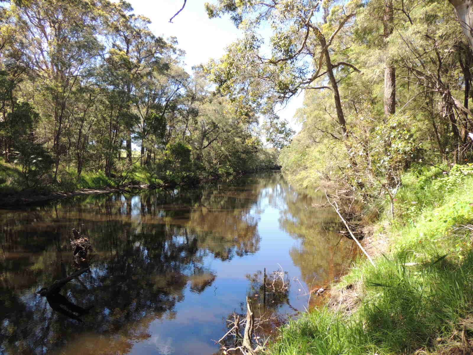 116 Scotsdale Road, Denmark WA 6333, Denmark - Thumbnail 3