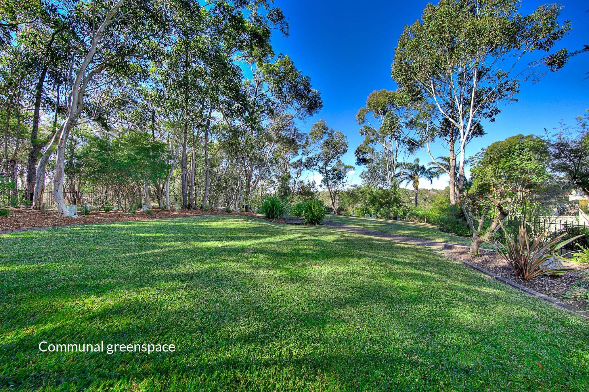 49 Grosvenor Street, Wahroonga - Thumbnail 5