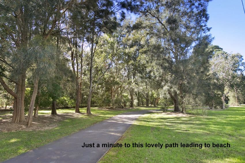 942 Pittwater Road, DEE WHY NSW 2099, Dee Why - Thumbnail 3