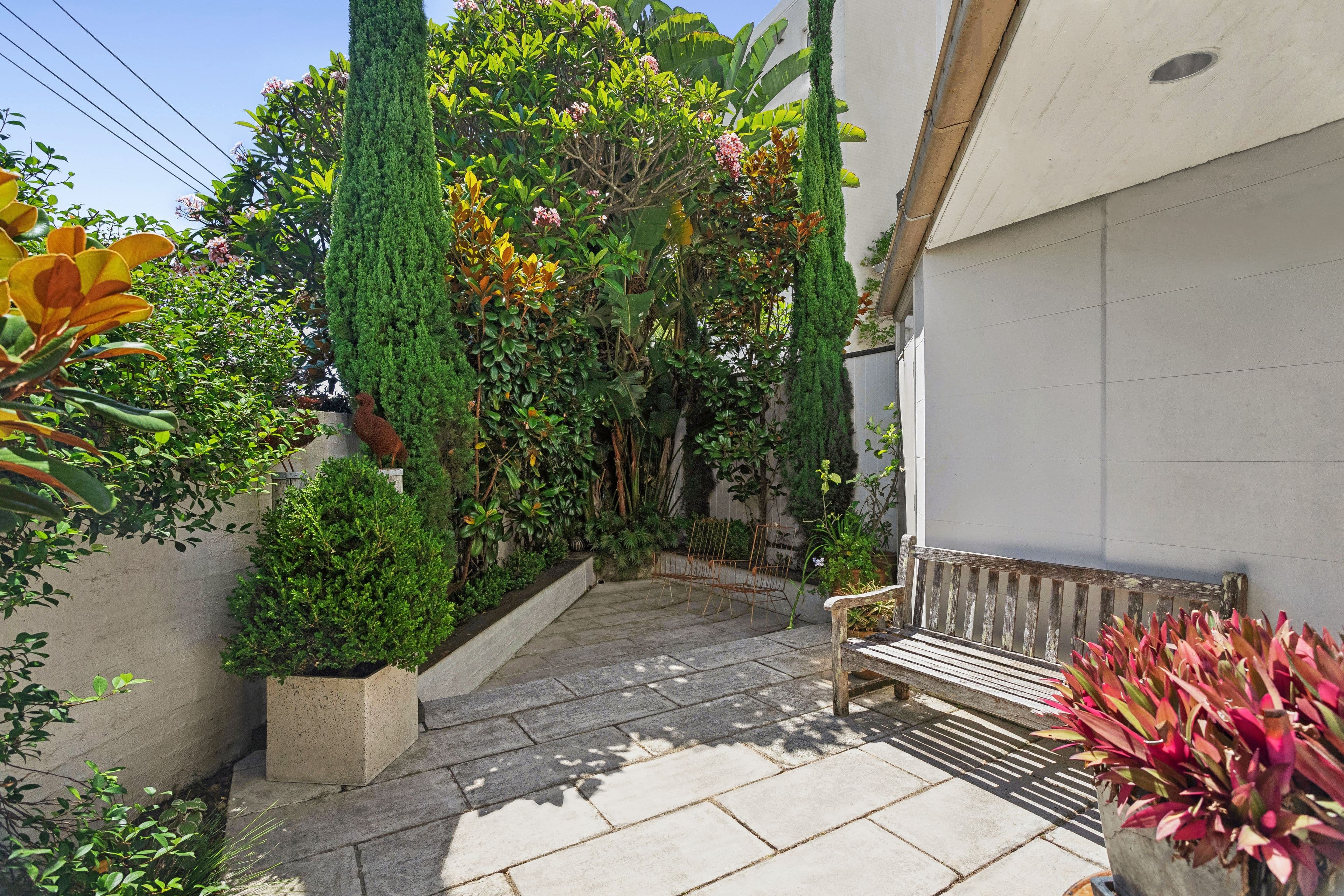 57 Liverpool Street, Paddington NSW 2021, Paddington - Thumbnail 7