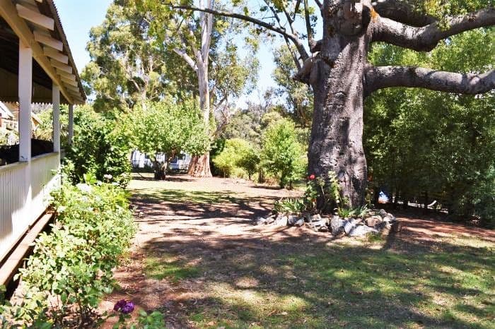 20 North Street, Nannup WA 6275, Nannup - Thumbnail 3
