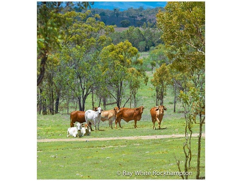 71 Hendy Drive, GLENLEE QLD 4711, Glenlee - Image 1