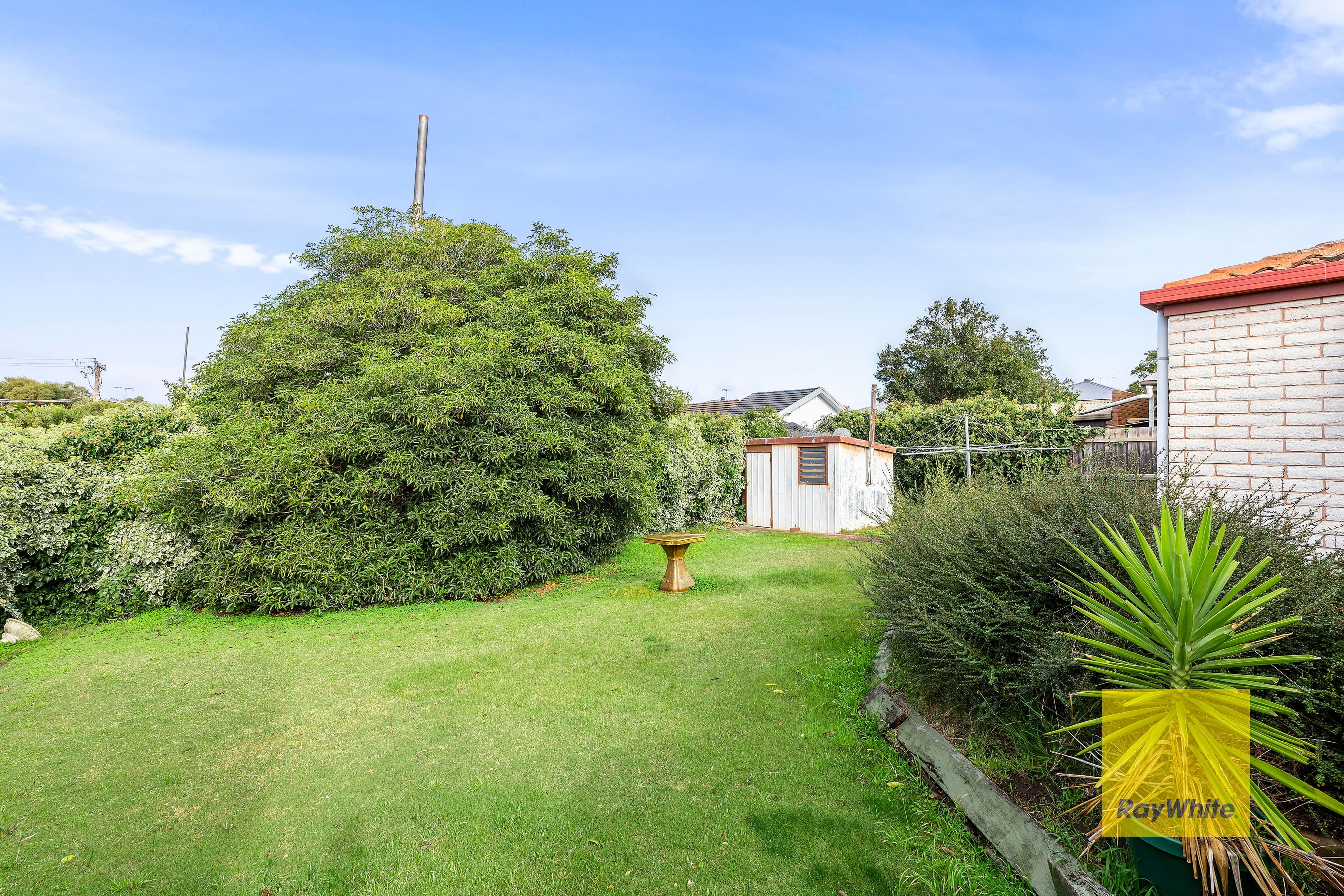 22 Cheryl Crescent, Belmont VIC 3216, Belmont - Thumbnail 7