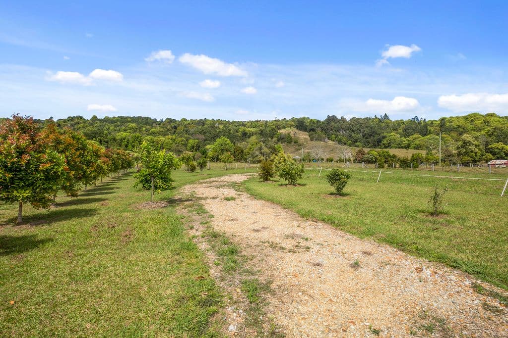 438 Eviron Road, Eviron NSW 2484, Eviron - Thumbnail 5