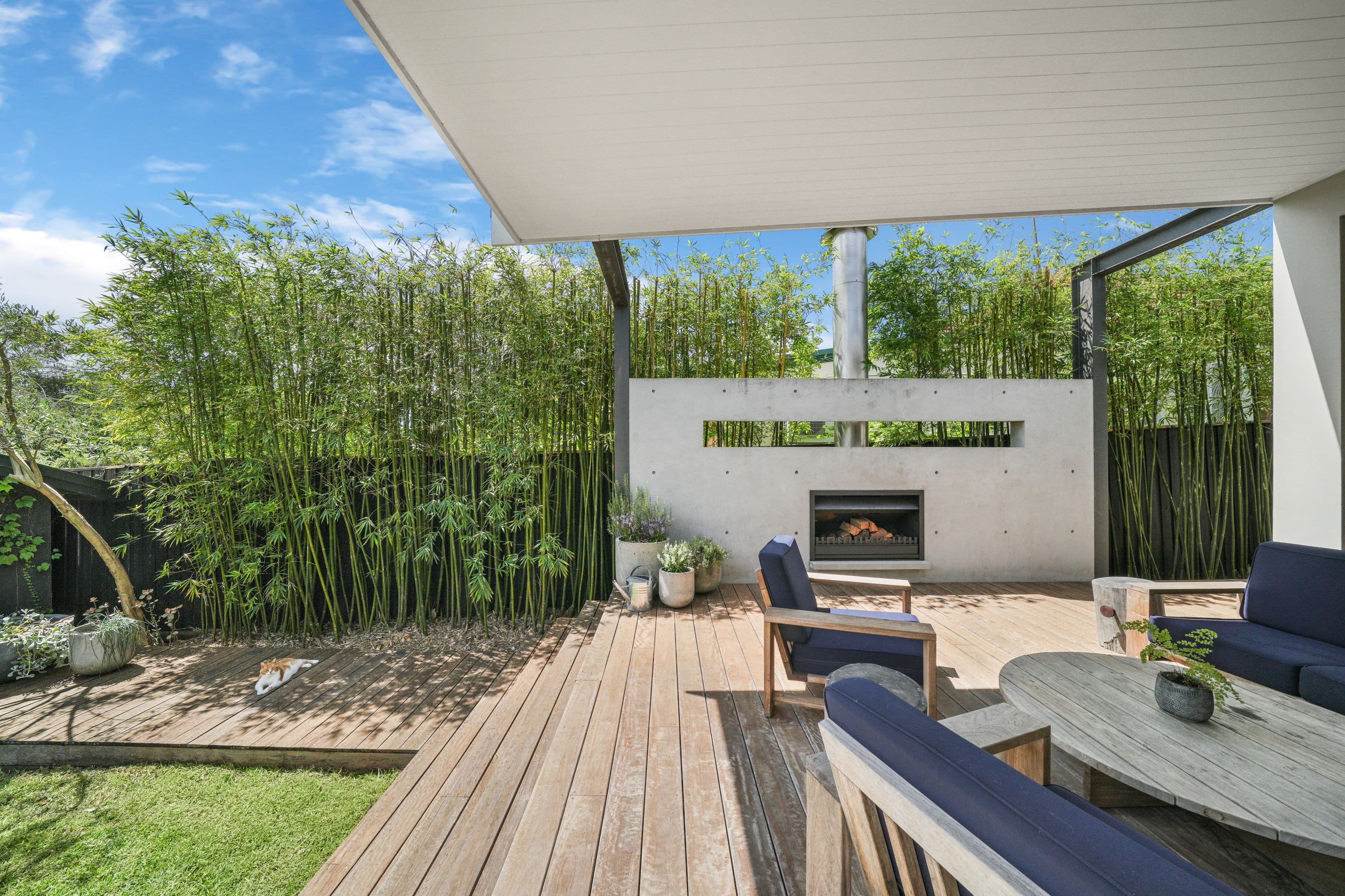 9 Horton Street, Marrickville NSW 2204, Marrickville - Thumbnail 7