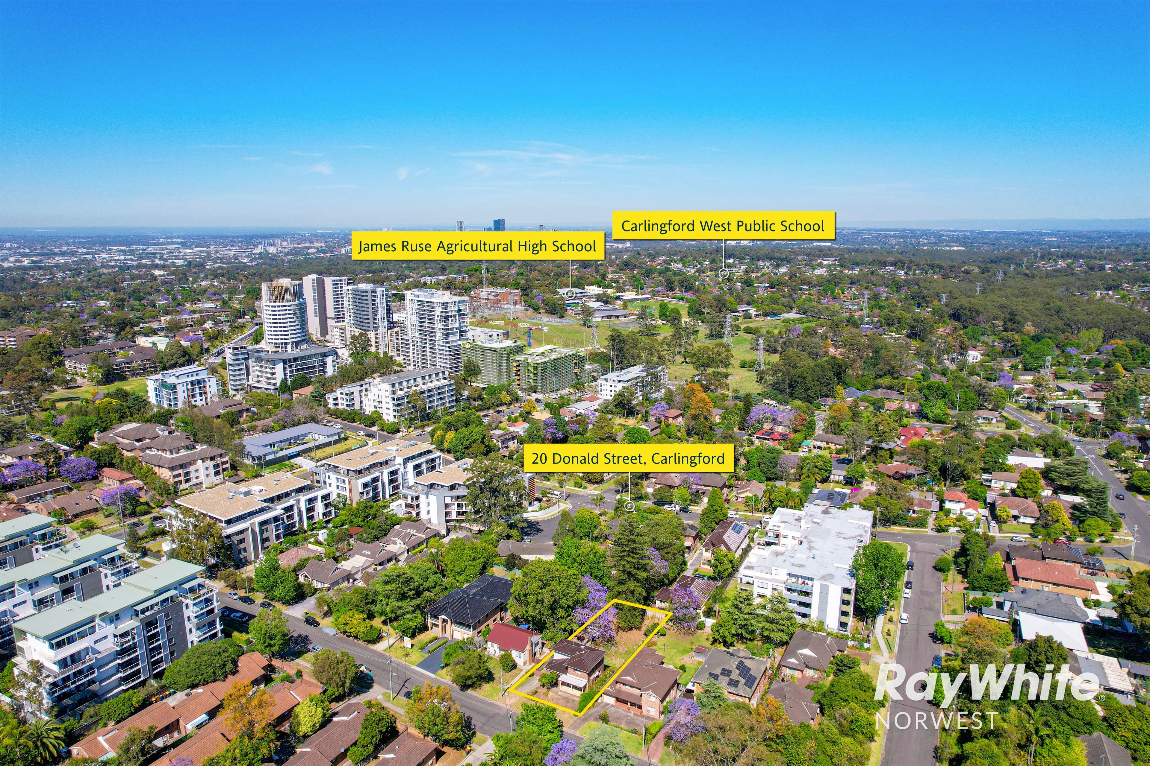 20 Donald Street, Carlingford NSW 2118, Carlingford - Thumbnail 3
