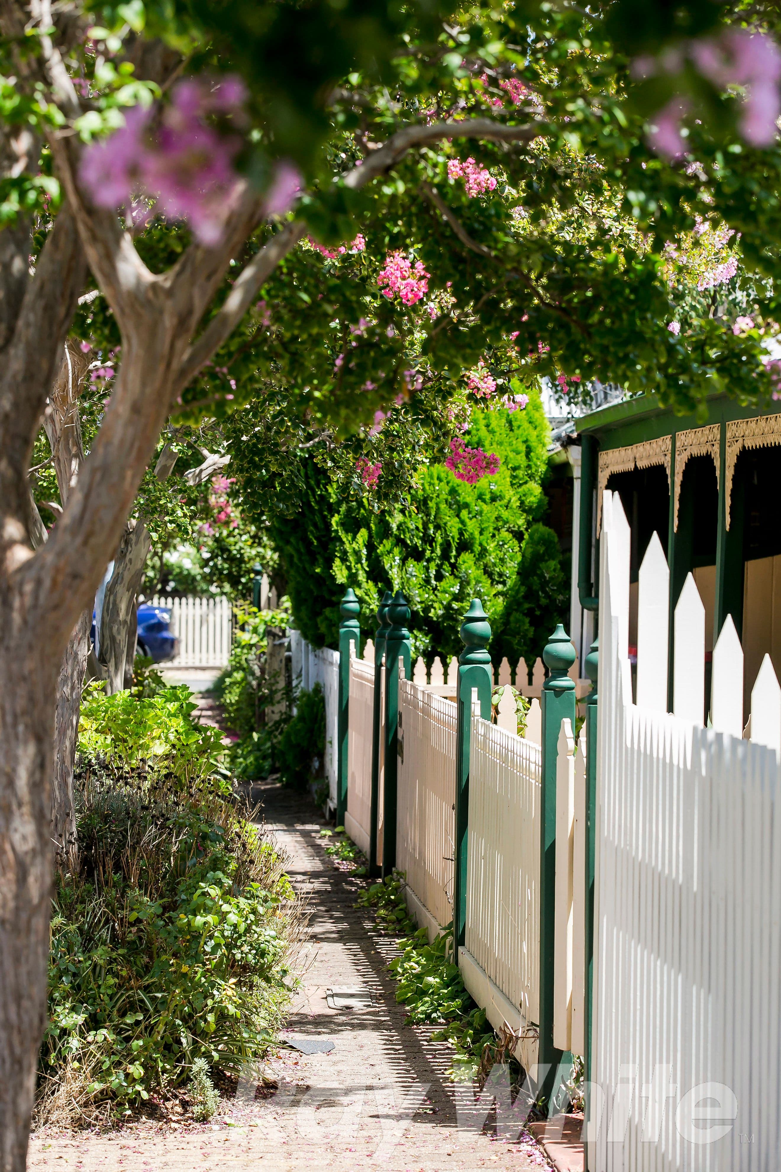 28 Maxwell Street, Adelaide SA 5000, Adelaide - Thumbnail 6