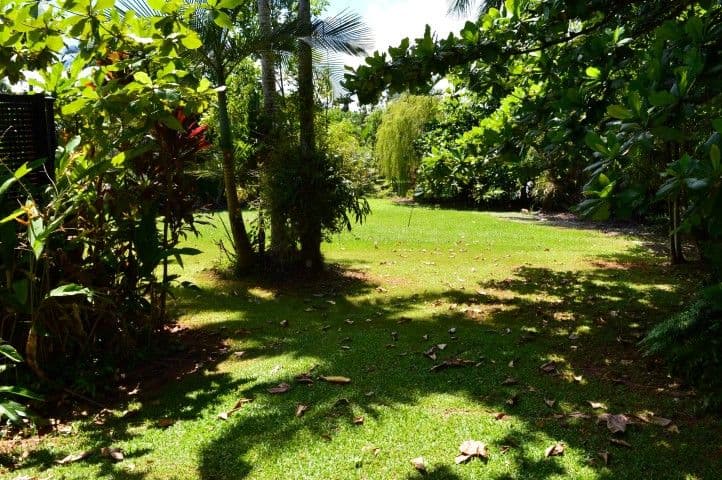 37 Cutten Street, Bingil Bay QLD 4852, Bingil Bay - Thumbnail 7