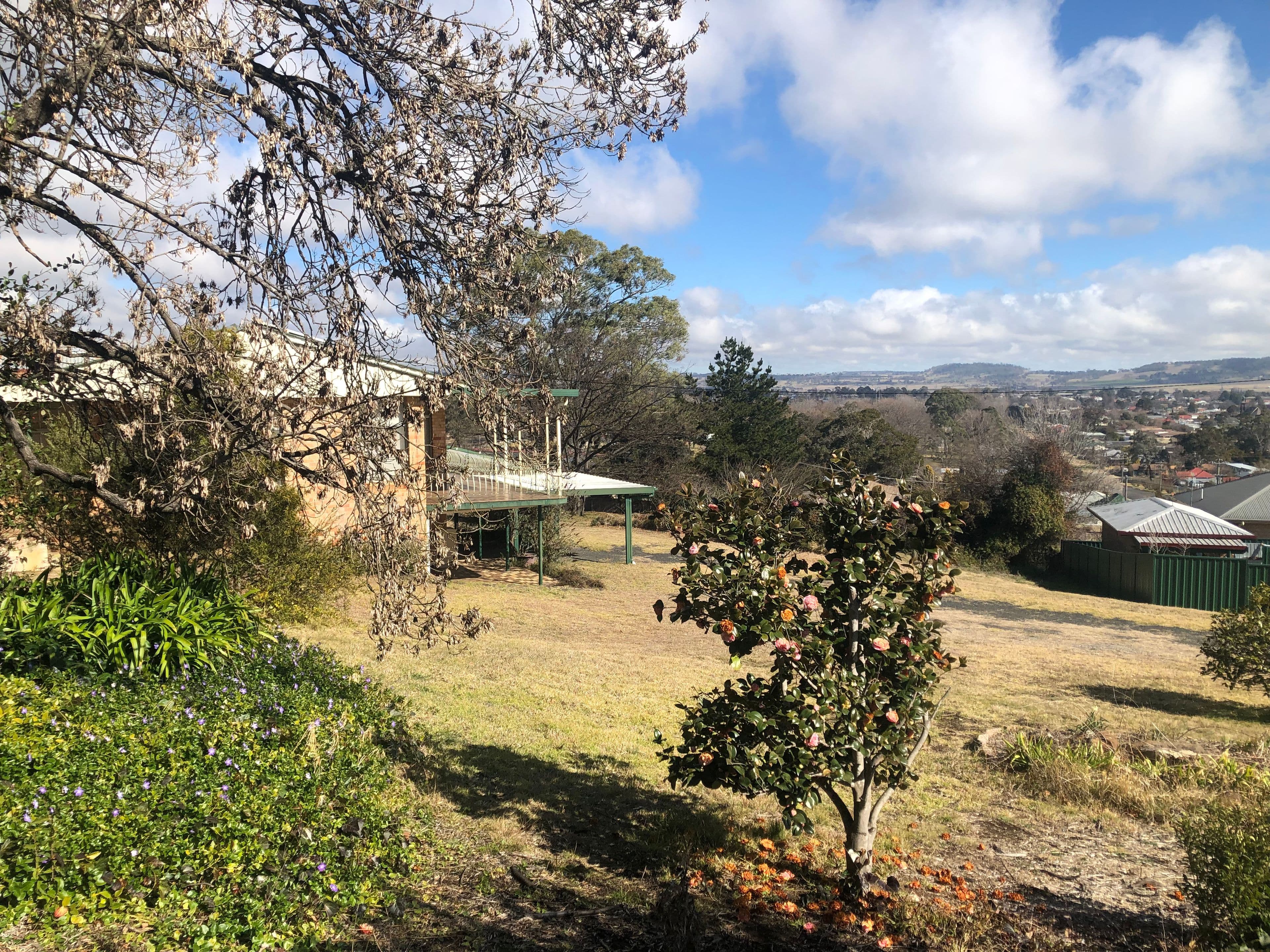 321 Bourke, Glen Innes NSW 2370, Glen Innes - Thumbnail 2