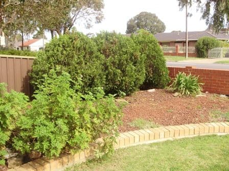 109 Spains Road, SALISBURY SA 5108, Salisbury - Thumbnail 4
