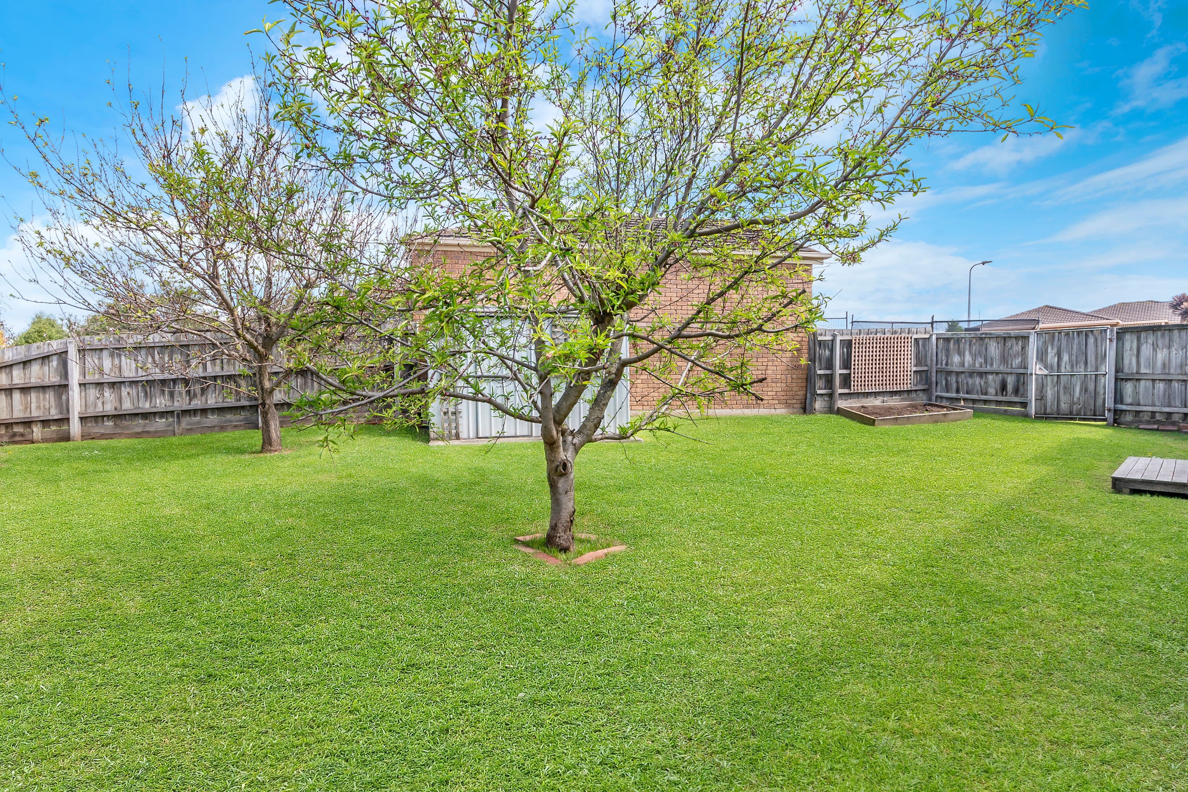 4 Maneroo Court, Warrnambool VIC 3280, Warrnambool - Thumbnail 6
