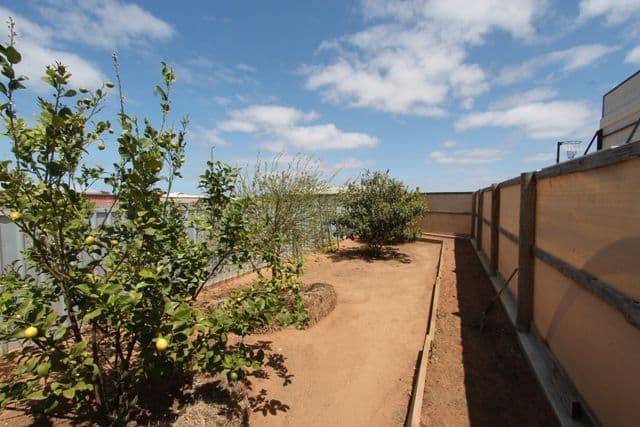 16 Warnes Street, COWELL SA 5602, Cowell - Thumbnail 4