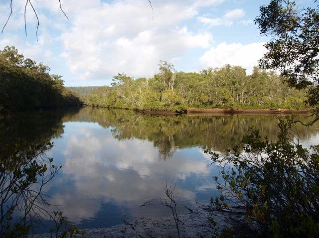 Lot  99 Lewis Lane, MORORO NSW 2469, Mororo - Thumbnail 2