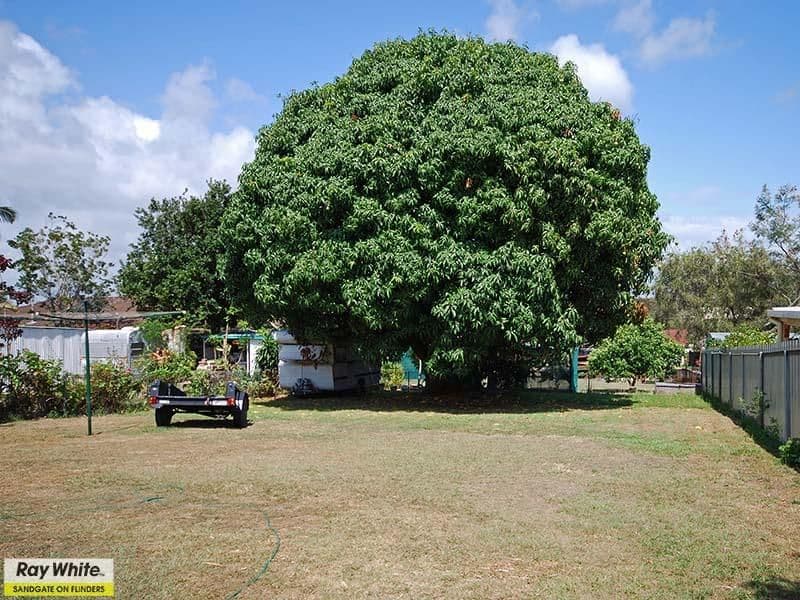 141 Victoria Avenue, MARGATE QLD 4019, Margate - Thumbnail 5