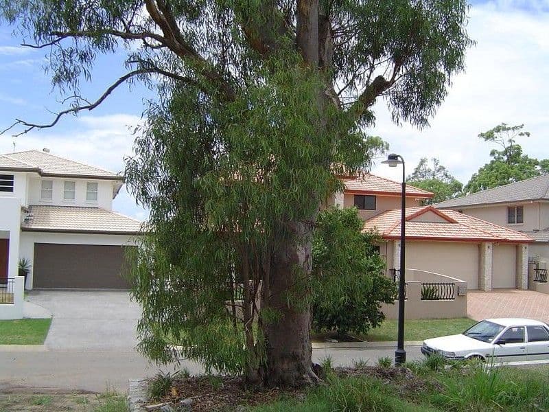 68 Yarra Road, WAKERLEY QLD 4154, Wakerley - Thumbnail 7