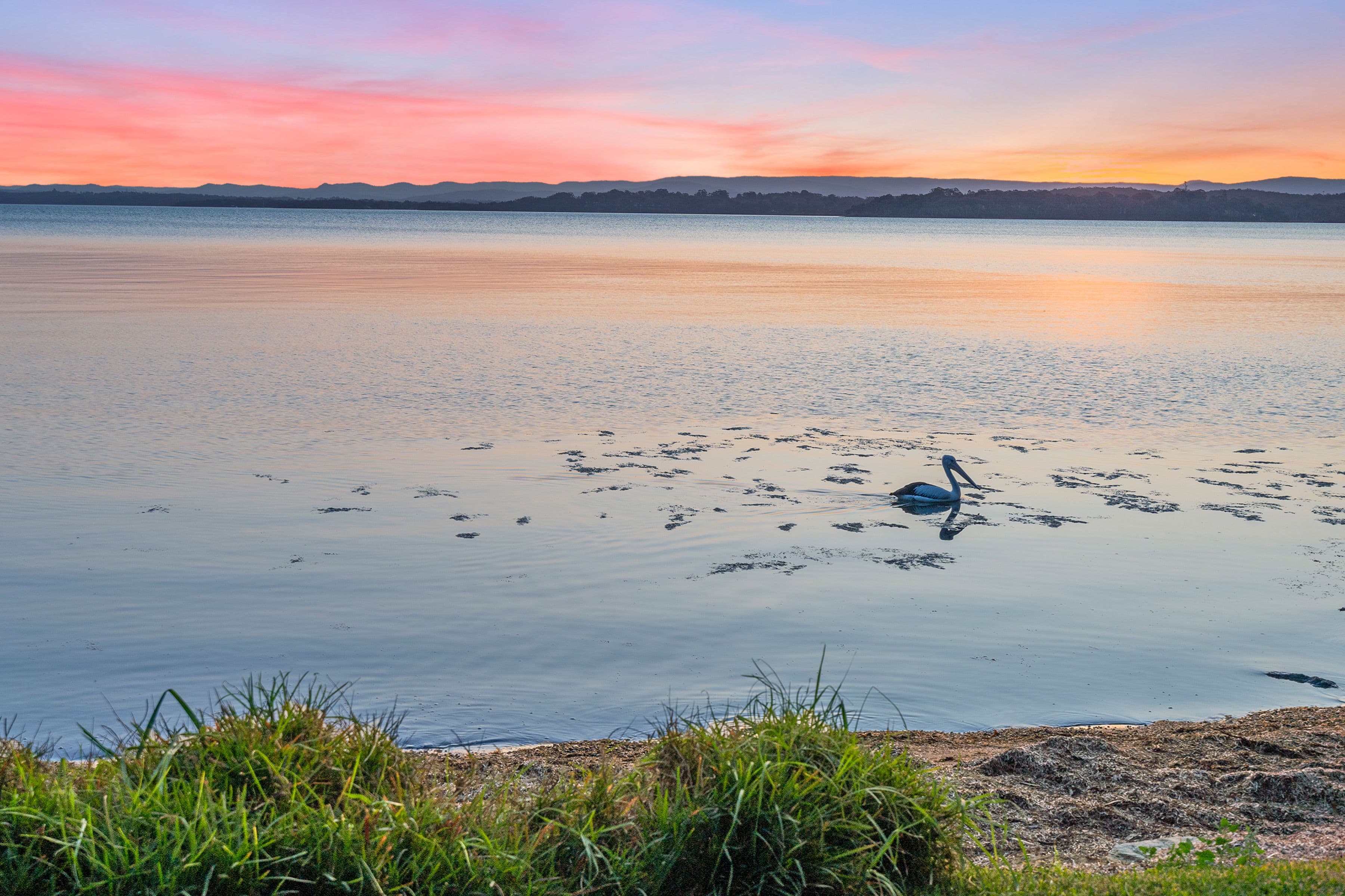 116 Beach Road, Wangi Wangi NSW 2267, Wangi Wangi - Thumbnail 7