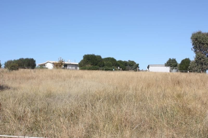 235 Calabash Lane MURRINGO, YOUNG NSW 2594, Young - Thumbnail 3