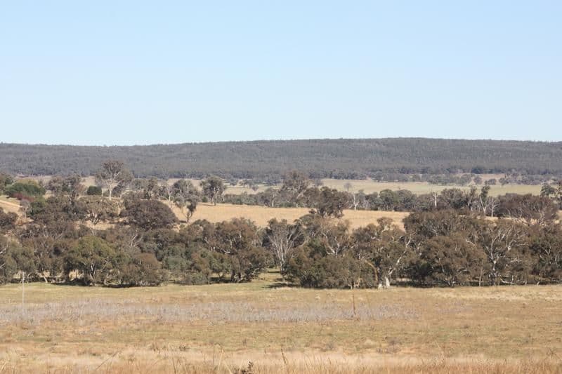 235 Calabash Lane MURRINGO, YOUNG NSW 2594, Young - Thumbnail 5