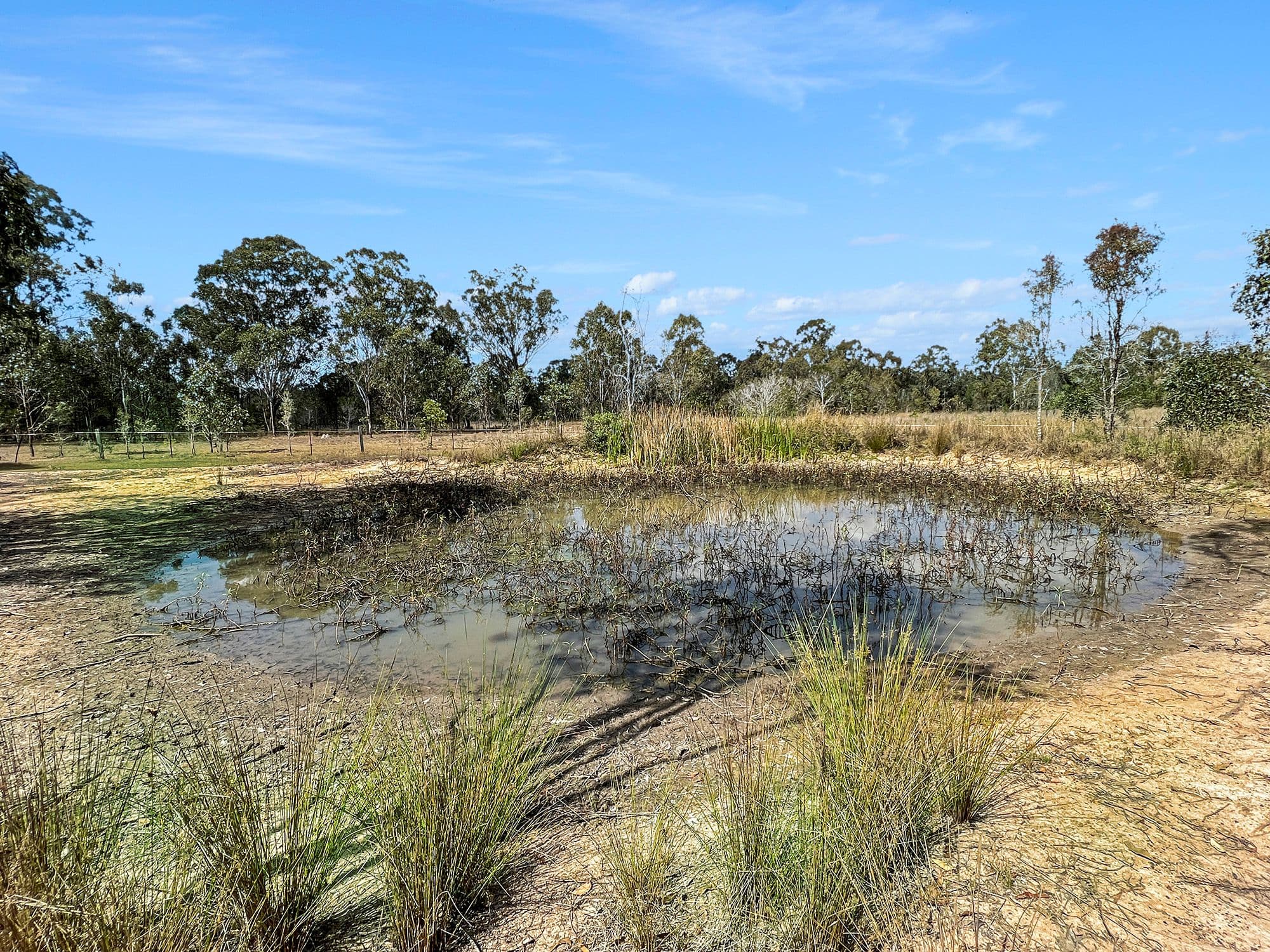 64 Caledonian Road, Thagoona QLD 4306, Thagoona - Thumbnail 5