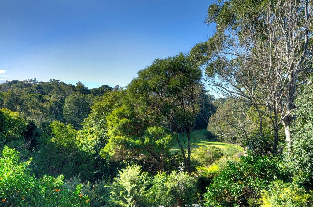 69 Girrawheen Avenue, KIAMA NSW 2533, Kiama - Thumbnail 7