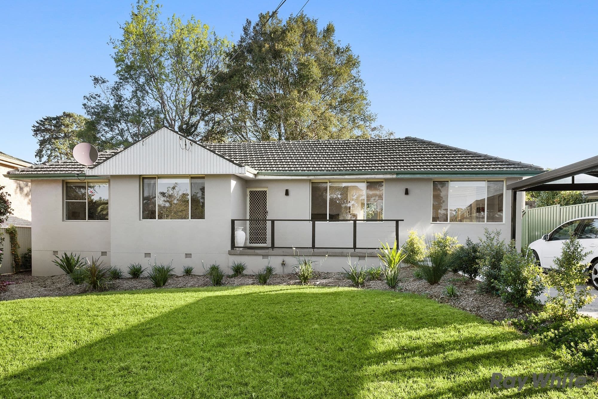 17 Stewart Drive, Castle Hill - Thumbnail 2