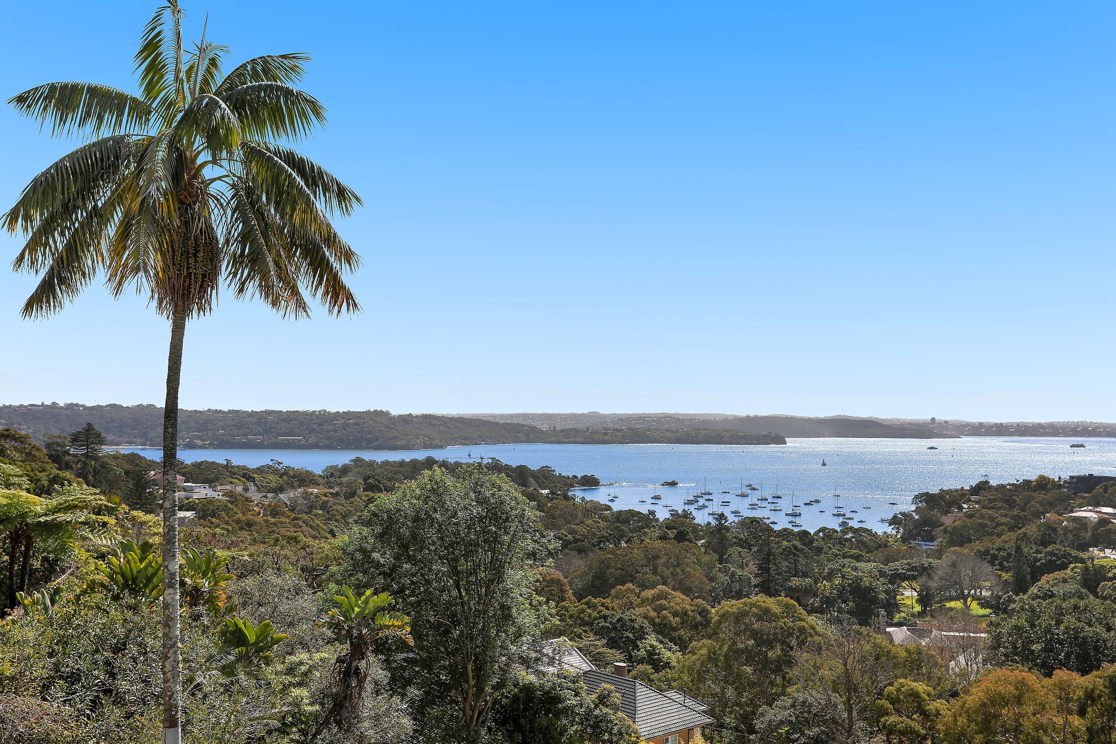11 Wentworth Road, Vaucluse - Thumbnail 8