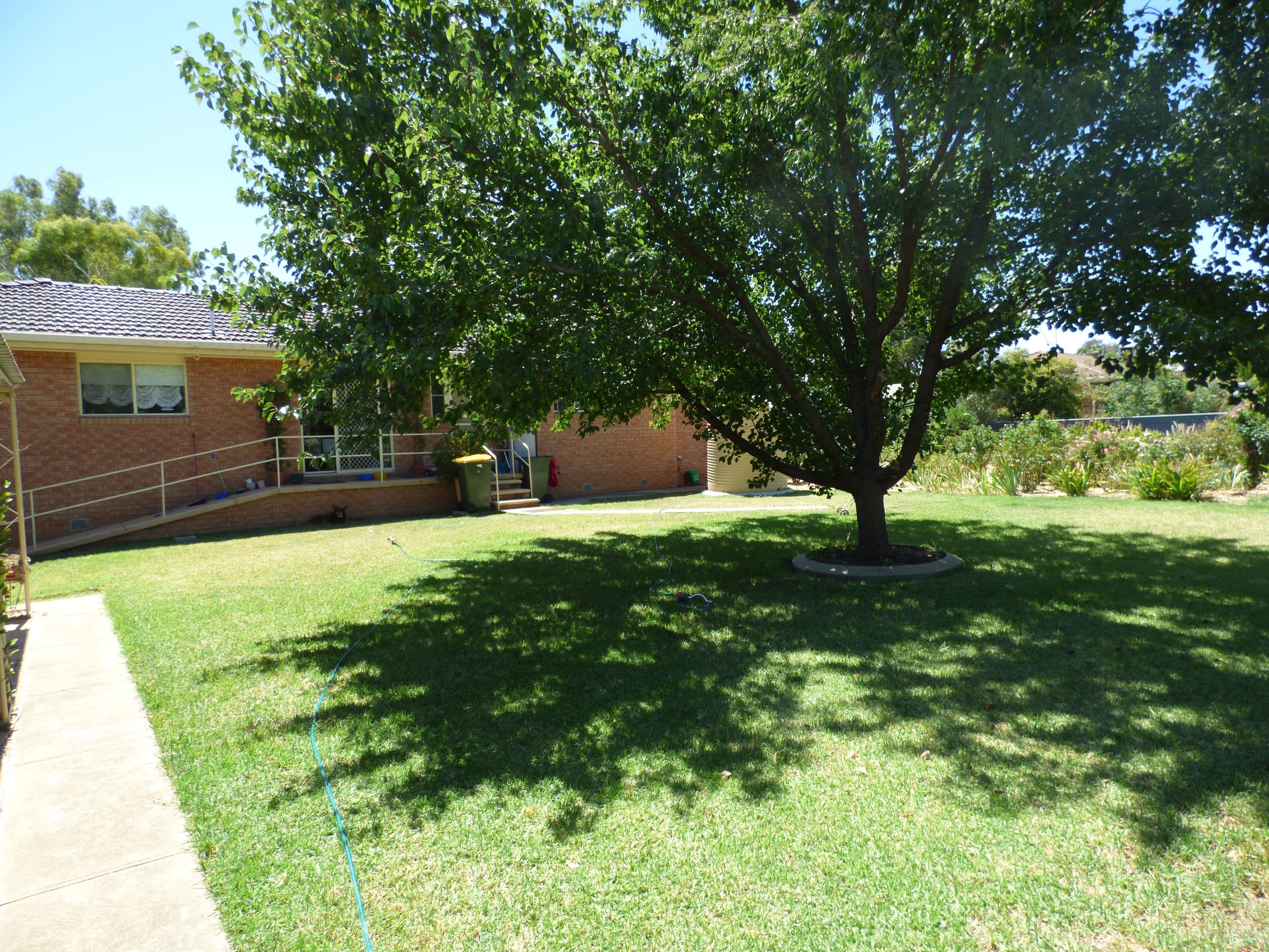 49 Reymond Street, Forbes - Thumbnail 2