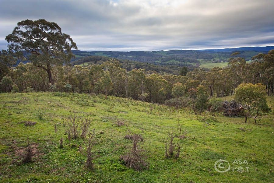 1720 Jenolan Caves Road, HAMPTON NSW 2790, Hampton - Thumbnail 3