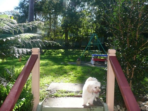 27 Hampstead Way, RATHMINES NSW 2283, Rathmines - Thumbnail 8