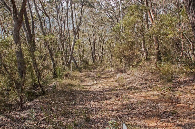 39-41 Shipley Road (Lot 134 Helvatia Avenue), BLACKHEATH NSW 2785, Blackheath - Image 1