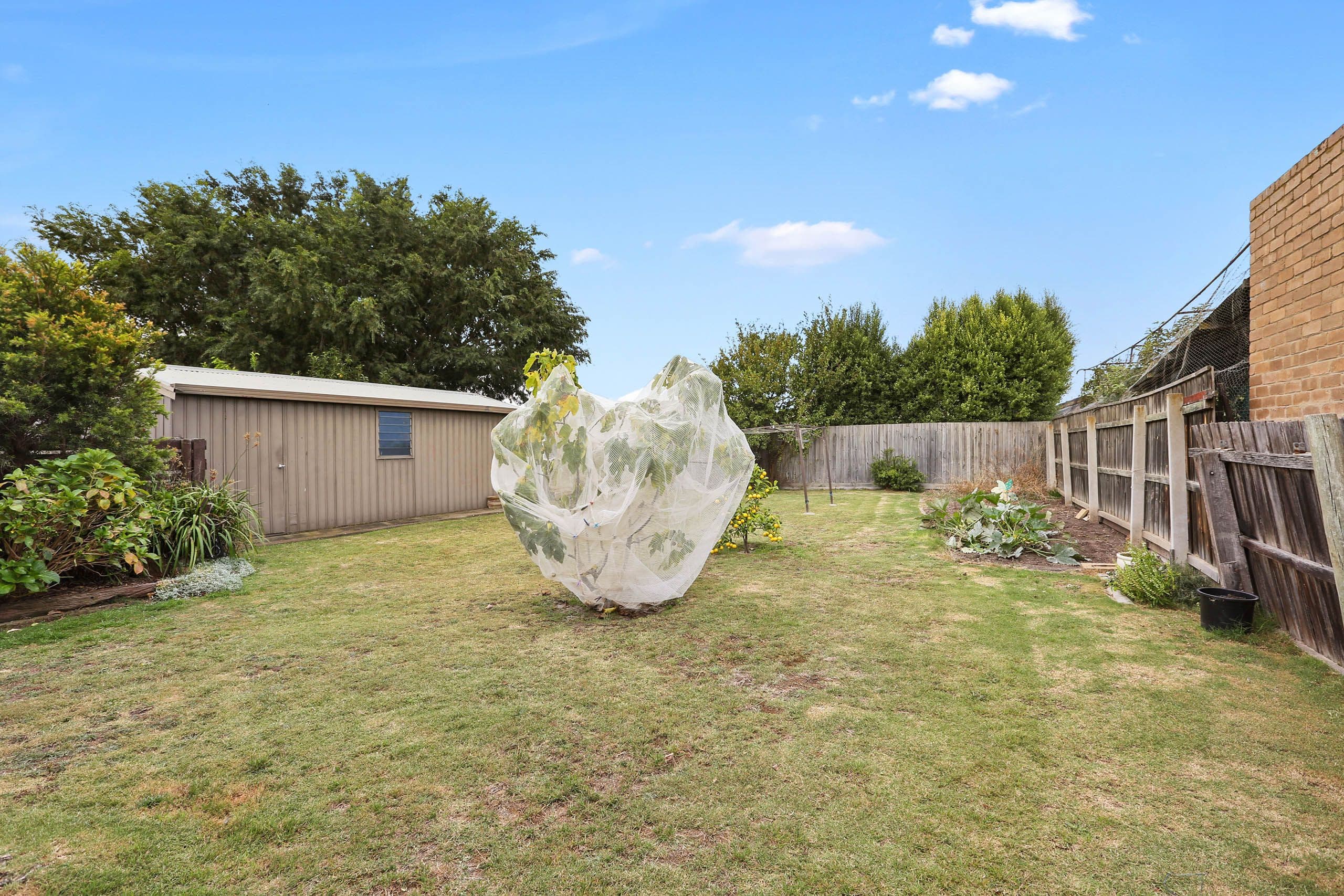 240 Anakie Road, Bell Park VIC 3215, Bell Park - Thumbnail 6