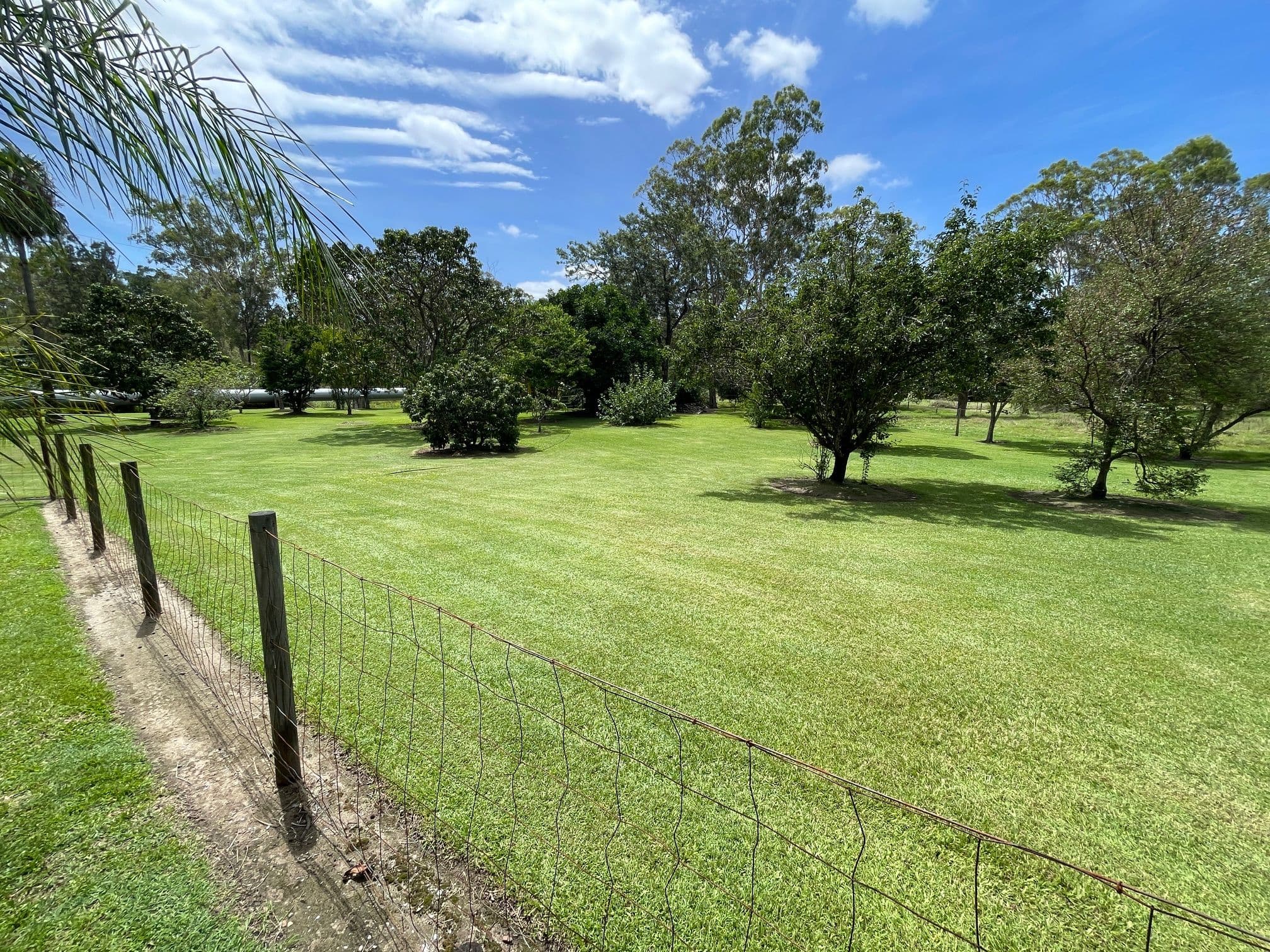 25 Helen Crescent, Wurdong Heights QLD 4680, Wurdong Heights - Thumbnail 5