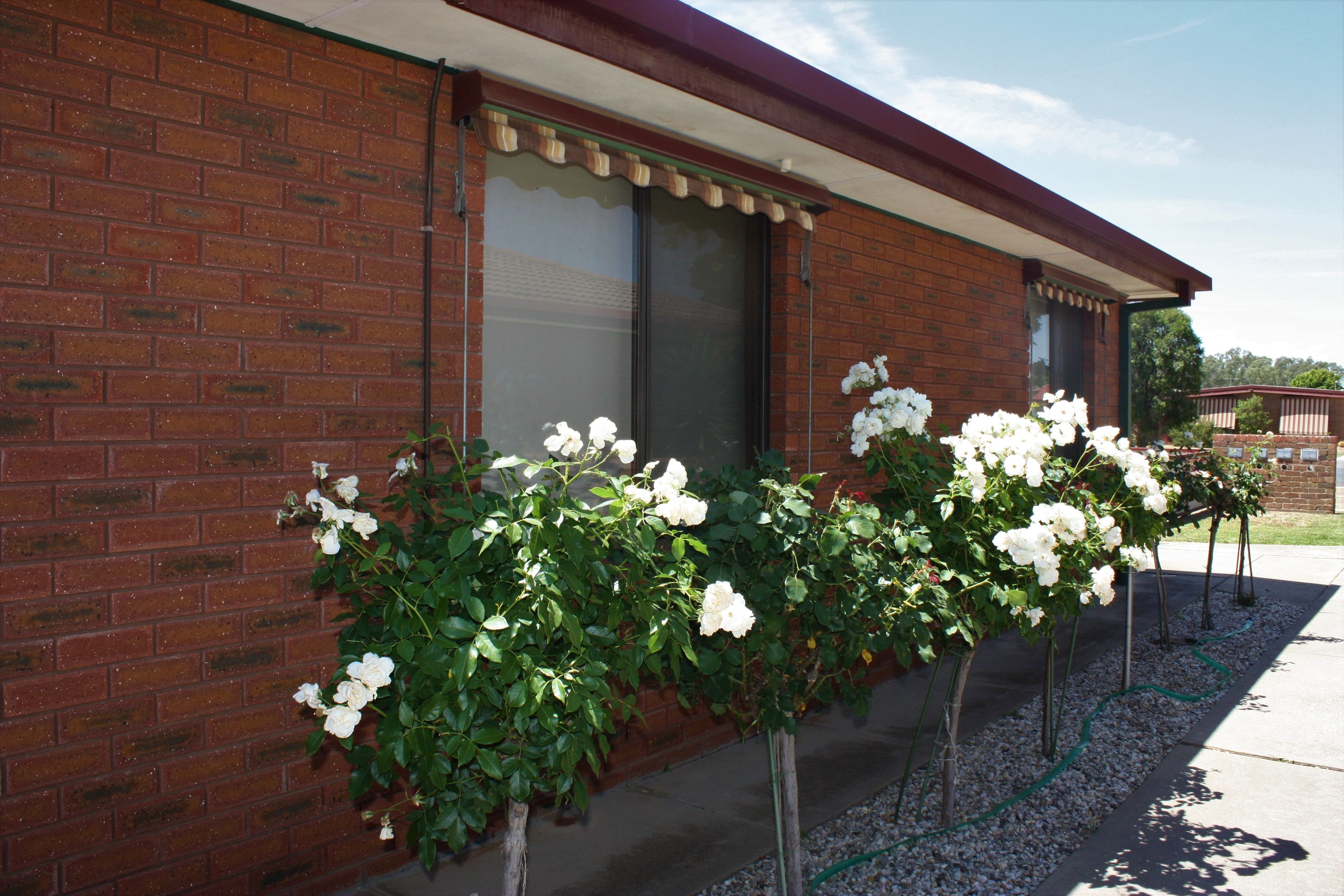 9 Edward Street, Corowa - Image 1