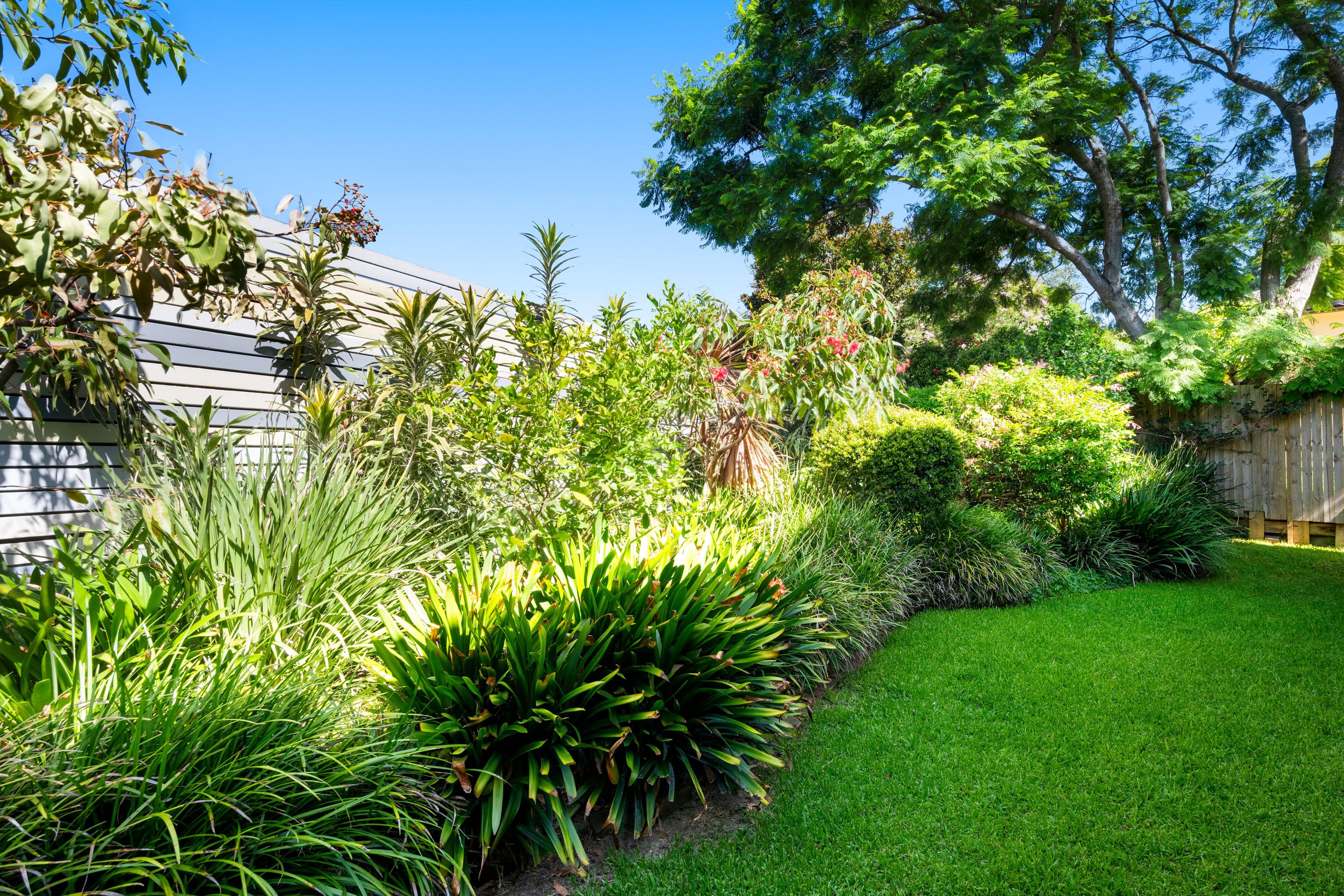 111 Eastern Valley Way, Castlecrag NSW 2068, Castlecrag - Thumbnail 8
