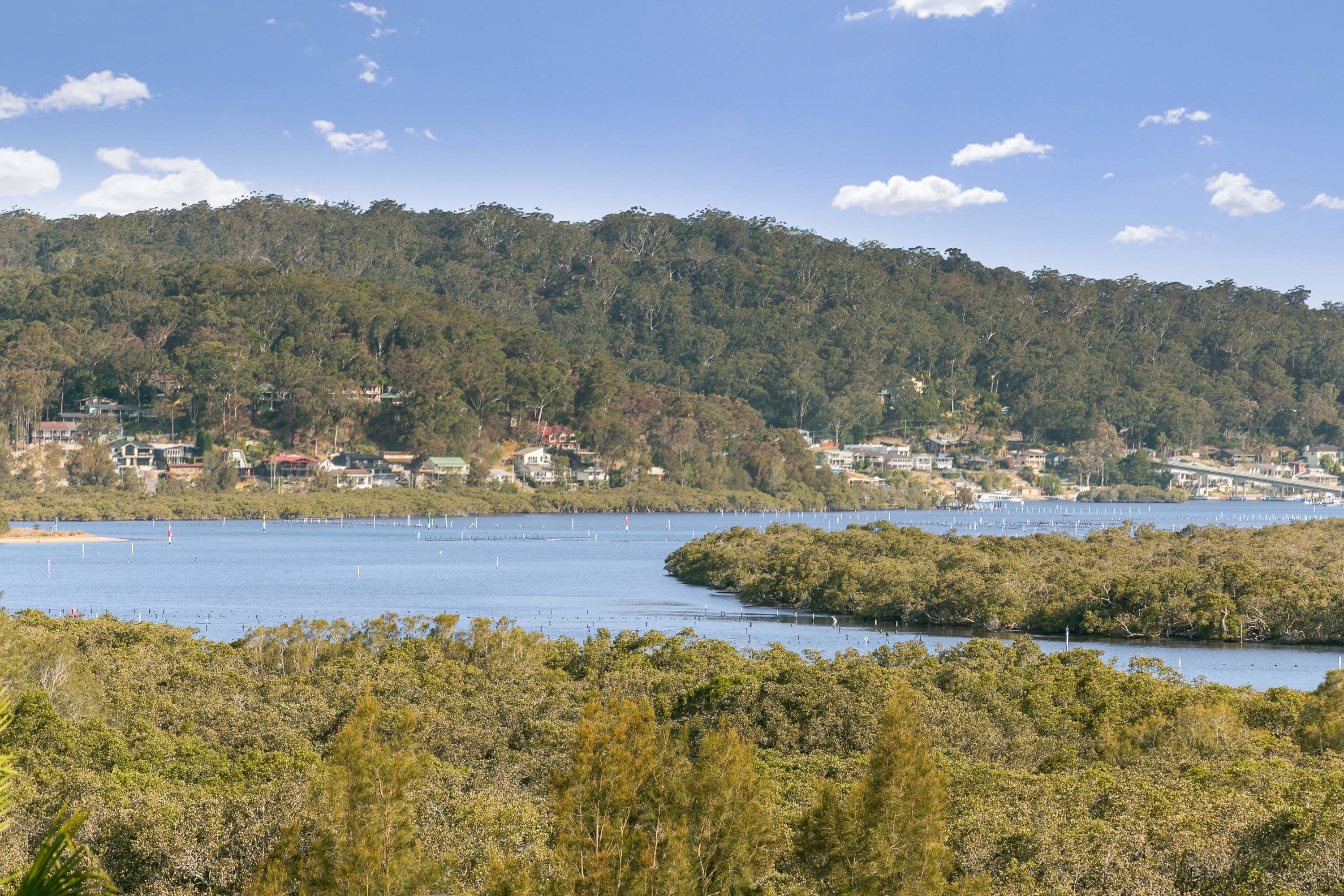 36 Treeview Place, Saratoga - Thumbnail 3