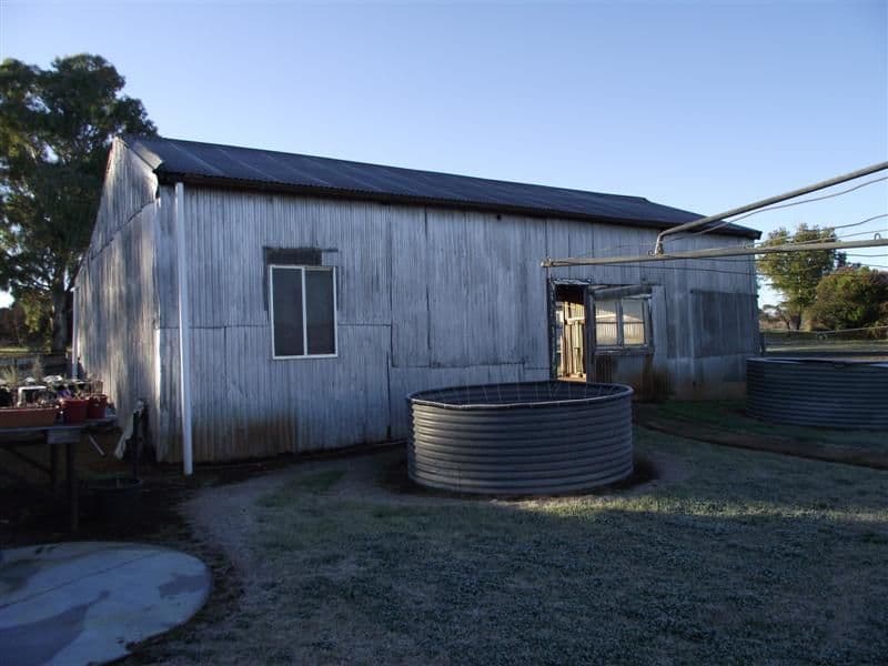 2 Forbes Street, YEOVAL NSW 2868, Yeoval - Thumbnail 3