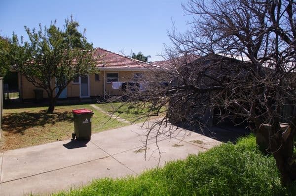 20 Macklin Street, STURT SA 5047, Sturt - Thumbnail 3
