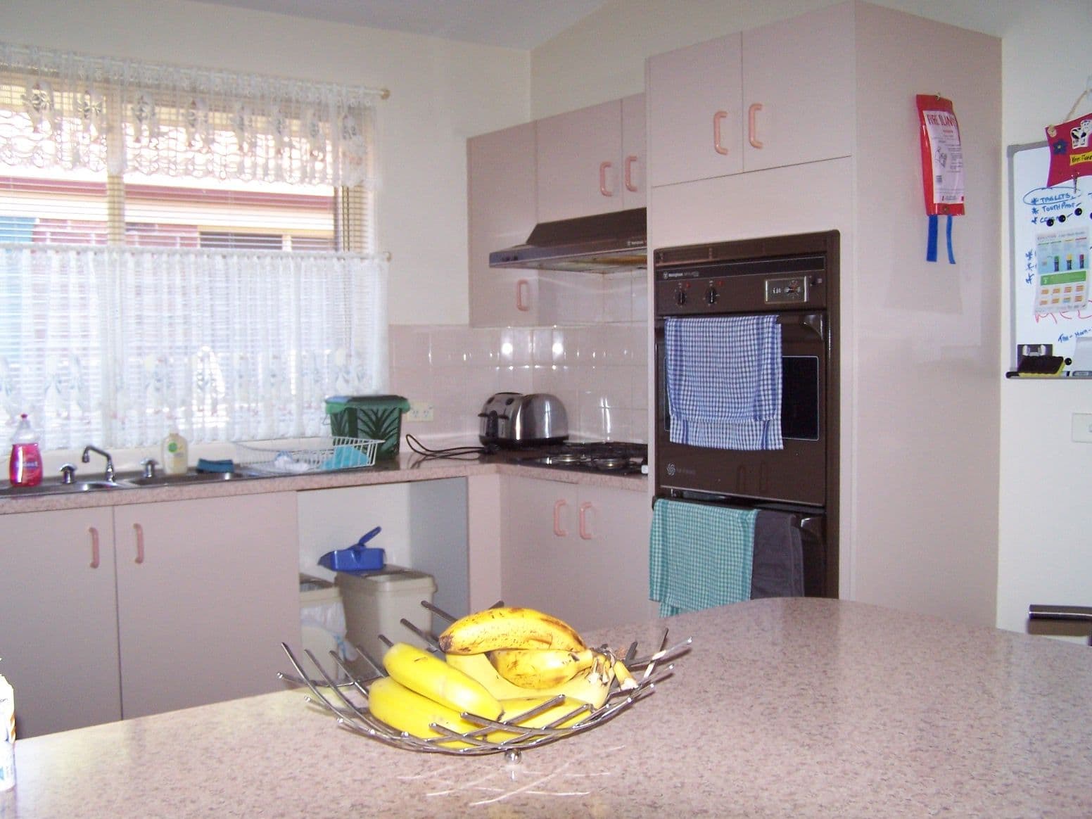 20 Lehmann Avenue, GLENMORE PARK NSW 2745, Glenmore Park - Thumbnail 2