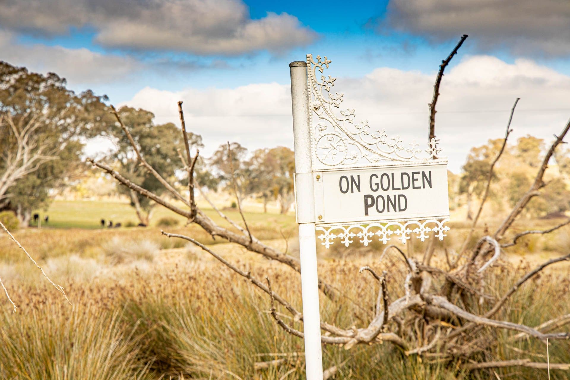 43 Garryowen Road, Binalong NSW 2584, Binalong - Image 1