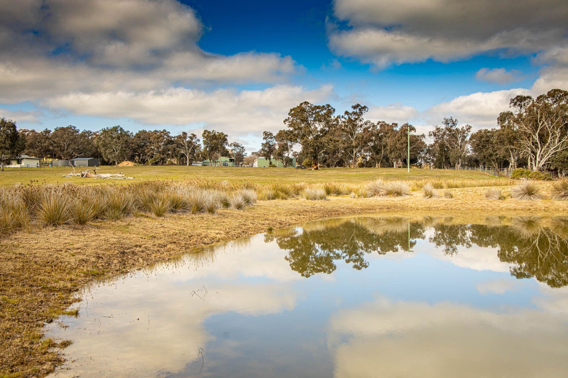 43 Garryowen Road, Binalong NSW 2584, Binalong - Thumbnail 4