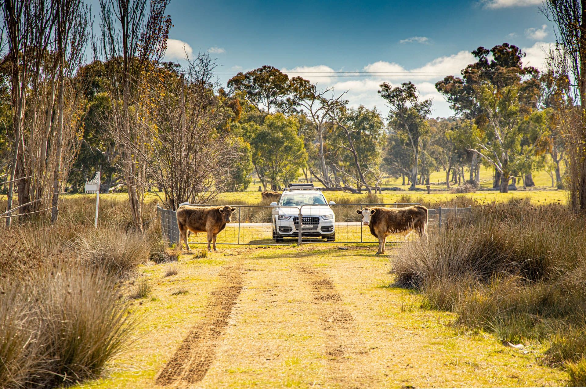 43 Garryowen Road, Binalong NSW 2584, Binalong - Thumbnail 8