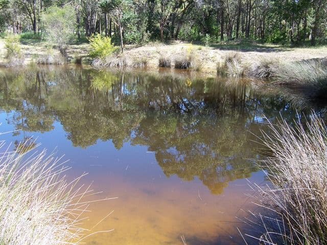 23 Summerhill Drive, STAKE HILL WA 6181, Stake Hill - Thumbnail 4