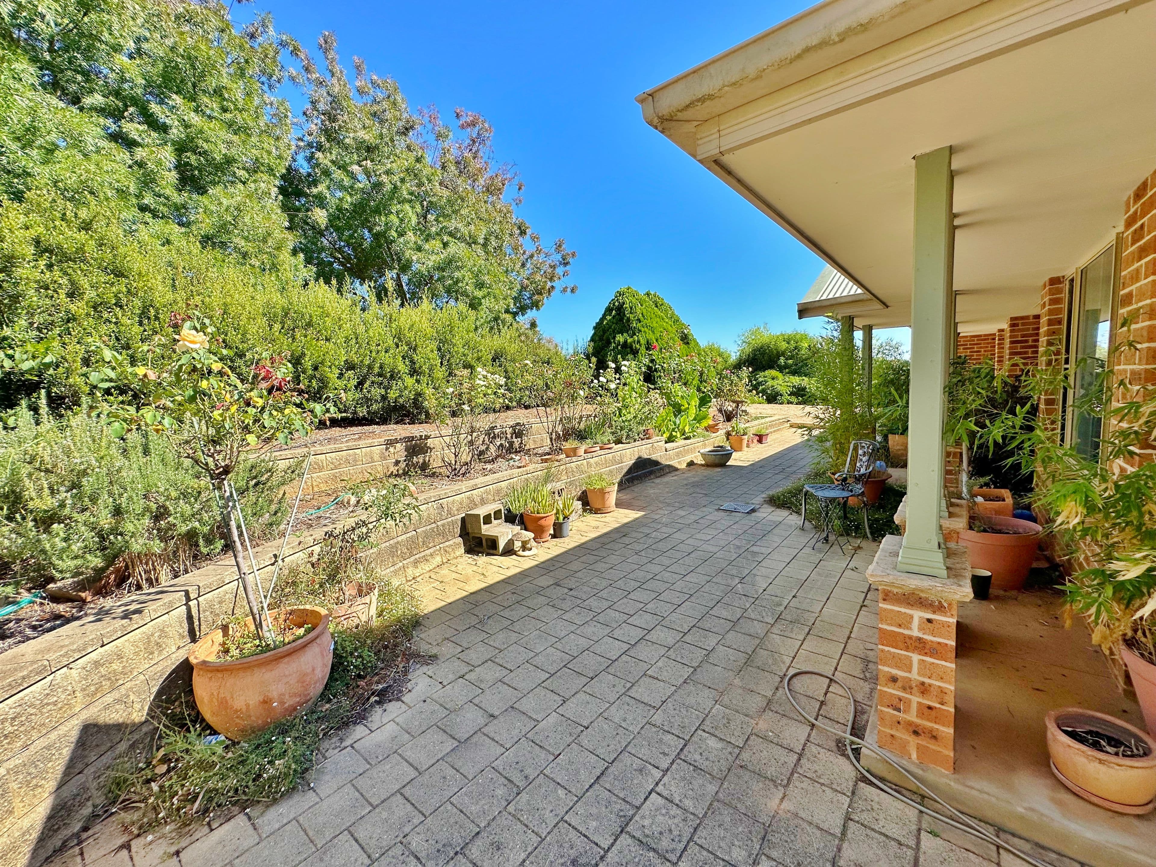 109 Willawong Street, Young NSW 2594, Young - Thumbnail 3