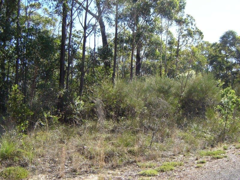 L334 Fortis Drive, THE PINNACLES NSW 2460, The Pinnacles - Thumbnail 3